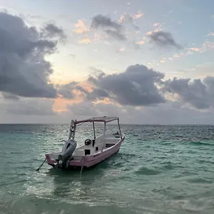 Guest house Home's Jungle Puerto Morelos 20 Minutes From The Airport, Cancun